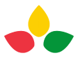Foundation First logo